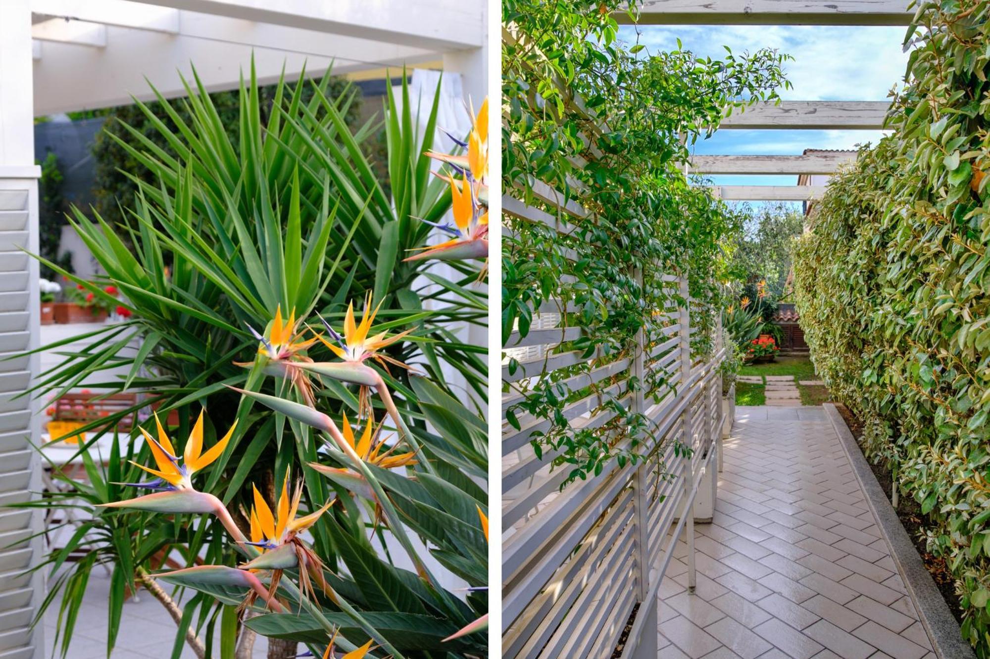 Apartment Holidays - Rimediu